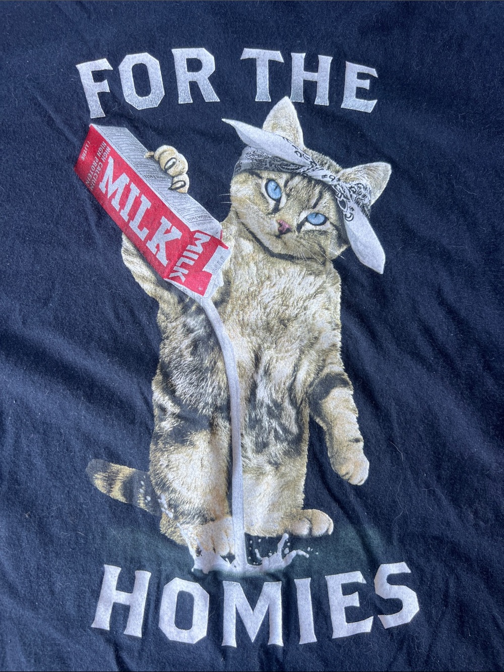 Cat Graphic Tee "For The Homies" - Black 2x fruit of the loom hd cotton z13